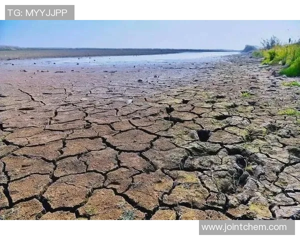 全球气候变化加剧各地极端天气频发 专家呼吁加强应对措施 全球气候变化加剧各地极端天气频发 专家呼吁加强应对措施