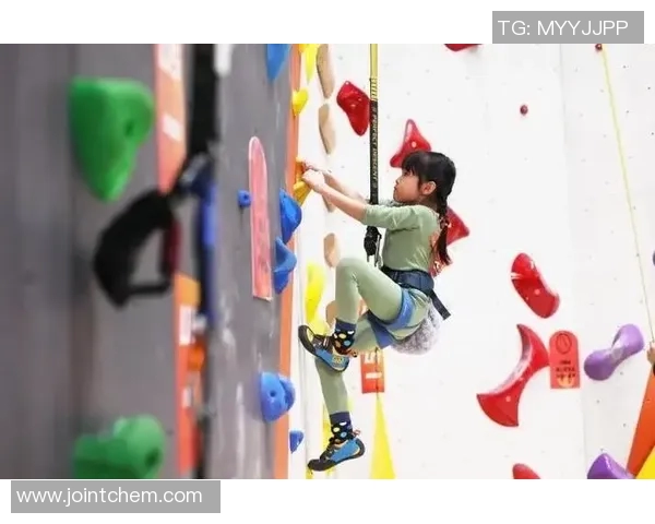 南京攀岩队在最新攀岩状态TOP10中表现突出引领全场