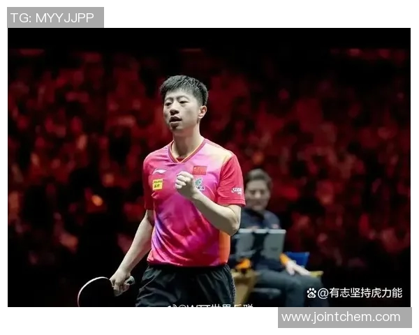 武汉乒乓球队个人能力全面解析与大满贯赛事表现评估